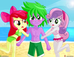 Size: 4000x3090 | Tagged: safe, artist:dieart77, apple bloom, spike, sweetie belle, equestria girls, g4, barefoot, beach, belly button, bikini, clothes, commission, feet, female, human spike, jealous, love triangle, male, midriff, ship:spikebelle, ship:spikebloom, shipping, shorts, spike gets all the equestria girls, spike gets all the mares, straight, swimsuit