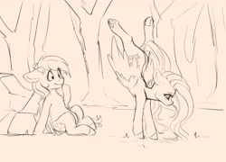 Size: 4000x2885 | Tagged: safe, artist:miokomata, fluttershy, rainbow dash, pegasus, pony, g4, chest fluff, eyes on the prize, female, floppy ears, freckles, freckleshy, handstand, mare, monochrome, simple background, sketch, upside down