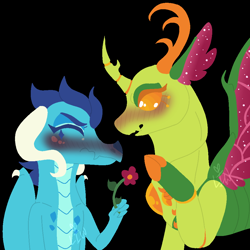 Size: 1000x1000 | Tagged: safe, artist:lepiswerid, princess ember, thorax, changedling, changeling, dragon, g4, black background, blushing, blushing profusely, cute, dragoness, emberbetes, eyelashes, female, flower, forked horn, horn, insect wings, king thorax, lidded eyes, lineless, male, marsverse, redesign, ship:embrax, shipping, simple background, sparkles, straight, thorabetes, tsundember, tsundere, wings