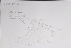 Size: 2040x1364 | Tagged: safe, artist:sketchwork_gd_inuk, sandbar, earth pony, pony, g4, colt, descriptive noise, dialogue, male, palindrome get, pun, solo, traditional art, wrapping paper, younger