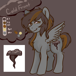 Size: 2000x2000 | Tagged: safe, artist:poofindi, oc, oc only, oc:cold front, pegasus, pony, high res, reference sheet