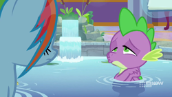 Size: 1280x720 | Tagged: safe, screencap, rainbow dash, spike, dragon, pegasus, pony, deep tissue memories, g4, spoiler:deep tissue memories, spoiler:mlp friendship is forever, faic, hands together, lidded eyes, out of context, ponyville spa, puckered lips, water, wet, wet mane, wet mane rainbow dash