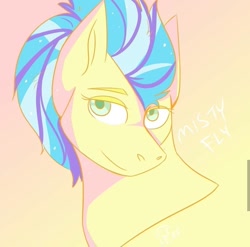 Size: 1071x1060 | Tagged: safe, artist:mr_fancyhat, misty fly, pegasus, pony, g4, abstract background, bust, female, mare, smiling, solo