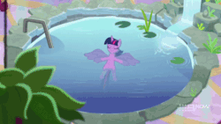 Size: 640x360 | Tagged: safe, screencap, rainbow dash, twilight sparkle, alicorn, pegasus, pony, deep tissue memories, g4, my little pony: friendship is forever, 9now, absurd file size, absurd gif size, animated, confident, female, gif, happy, relaxing, smiling, swimming pool, twilight sparkle (alicorn), wet