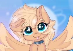 Size: 2560x1795 | Tagged: safe, artist:janelearts, oc, oc only, oc:mirta whoowlms, pegasus, pony, bust, collar, cute, ear fluff, female, looking at you, mare, ocbetes, solo, tongue out, wings