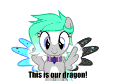 Size: 700x467 | Tagged: safe, artist:jekeita, oc, butterfly, dracony, dragon, earth pony, hybrid, pegasus, pony, animated, boop, clothes, collar, derp, female, funny, gif, male, mare, simple background, stallion