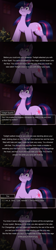 Size: 800x3600 | Tagged: safe, artist:vavacung, twilight sparkle, changeling, pony, unicorn, series:an unexpected love life of little changeling, g4, comic, female, male
