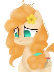 Size: 688x907 | Tagged: safe, artist:eclipsaaa, pear butter, earth pony, pony, g4, female, mare, simple background, solo