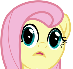 Size: 4500x4254 | Tagged: safe, fluttershy, pegasus, pony, g4, absurd resolution, bust, cute, cute face, eye, eyes, face, female, looking at you, mane, portrait, shy, shyabetes, simple background, solo, surprised face, white background