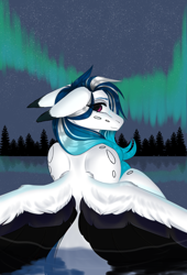 Size: 2696x3967 | Tagged: safe, artist:charlotteartz, oc, oc only, oc:marie pixel, pegasus, pony, aurora borealis, female, high res, mare, solo, water