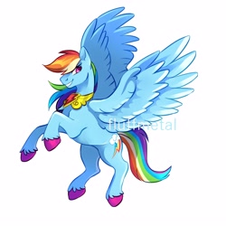 Size: 3000x3000 | Tagged: safe, artist:fluffmetal, rainbow dash, pegasus, pony, g4, backwards cutie mark, colored hooves, element of loyalty, female, grin, high res, jewelry, mare, rearing, signature, simple background, smiling, solo, spread wings, unshorn fetlocks, watermark, white background, wings