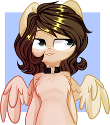 Size: 2000x2285 | Tagged: safe, artist:thieftea, oc, oc only, oc:staffie, pegasus, pony, semi-anthro, abstract background, chest fluff, collar, high res, solo