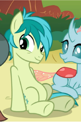 Size: 594x888 | Tagged: safe, screencap, ocellus, sandbar, changedling, changeling, pony, g4, cropped, duo focus, offscreen character, sitting, smiling, tail