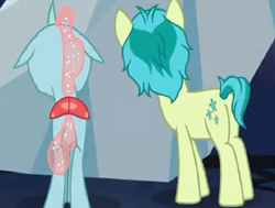 Size: 726x548 | Tagged: safe, screencap, ocellus, sandbar, changedling, changeling, earth pony, pony, g4, the ending of the end, butt, cropped, duo, flank, mane, ocellass, plot, plot pair, sandbutt, tail