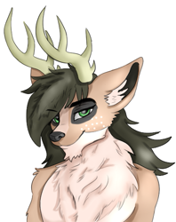 Size: 433x548 | Tagged: safe, artist:jbond, oc, oc only, oc:jacky breeze, deer, anthro, anthro oc, deer oc, male, non-pony oc, simple background, solo, white background