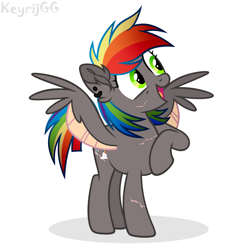 Size: 2500x2500 | Tagged: safe, artist:keyrijgg, oc, oc:keyr, pegasus, pony, art, high res, rainbow, show accurate, simple background, white background, wings