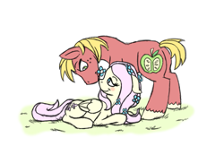 Size: 855x592 | Tagged: safe, artist:koopakrazy85, edit, big macintosh, fluttershy, earth pony, pegasus, pony, g4, bedroom eyes, blushing, cropped, female, flower, flower in hair, looking at each other, male, mare, prone, ship:fluttermac, shipping, simple background, stallion, straight, white background