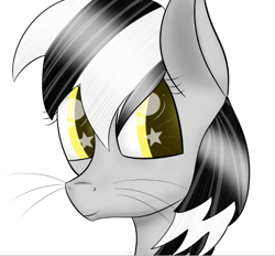 Size: 541x501 | Tagged: safe, artist:scenicstar, oc, oc only, oc:scenic star, pony, bust, solo, starry eyes, wingding eyes