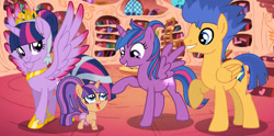 Size: 1102x546 | Tagged: safe, artist:paolahedgehog, flash sentry, twilight sparkle, oc, oc:star sparkle, unnamed oc, alicorn, pegasus, pony, g4, baby, baby pony, colored wings, colored wingtips, family, female, golden oaks library, male, new crown, offspring, parent:flash sentry, parent:twilight sparkle, parents:flashlight, ship:flashlight, shipping, spread wings, straight, twilight sparkle (alicorn), wings