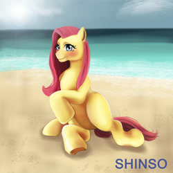 Size: 1280x1280 | Tagged: safe, artist:shinso, fluttershy, pony, g4, anatomically incorrect, beach, female, incorrect leg anatomy, ocean, solo