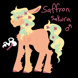 Size: 1000x1000 | Tagged: safe, artist:lepiswerid, oc, oc only, oc:saffron sakura, earth pony, pony, black background, colored hooves, cutie mark, flower, flower in hair, male, offspring, parent:tree hugger, parent:zephyr breeze, parents:zephyrhugger, simple background, solo