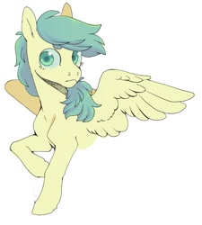 Size: 900x998 | Tagged: safe, artist:amphoera, oc, oc only, oc:venti via, pegasus, pony, female, mare, simple background, solo, white background