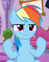 Size: 442x561 | Tagged: safe, screencap, rainbow dash, pony, deep tissue memories, g4, my little pony: friendship is forever, cropped, female, flexing, smiling, solo, tough