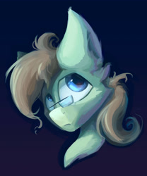 Size: 5000x6000 | Tagged: safe, artist:ignis, oc, oc only, oc:paradox, earth pony, pony, bust, portrait, simple background, solo