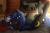 Size: 3000x2000 | Tagged: safe, artist:lionbun, princess luna, oc, oc:night shadow, alicorn, cat, pony, unicorn, g4, canon x oc, commission, couple, cuddling, evening, female, fireplace, high res, jewelry, lidded eyes, living room, looking at each other, love, male, pendant, pet, romance, ship:lunadow, shipping, straight, winged cat