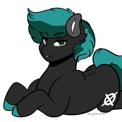 Size: 3000x3000 | Tagged: safe, artist:cyberafter, oc, oc only, oc:step, earth pony, pony, high res, simple background, solo, transparent background