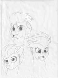 Size: 2552x3388 | Tagged: safe, artist:astrum, fleetfoot, soarin', spitfire, pegasus, pony, g4, bored, bust, disgusted, dreamworks face, expressions, female, floppy ears, frown, grimace, head down, high res, lidded eyes, lineart, looking down, looking up, male, monochrome, open mouth, smiling, traditional art, wonderbolts