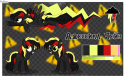 Size: 4000x2500 | Tagged: safe, artist:keyrijgg, oc, oc only, pegasus, pony, abstract background, commission, reference sheet, solo