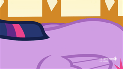 Size: 1293x728 | Tagged: safe, screencap, twilight sparkle, alicorn, pony, deep tissue memories, g4, my little pony: friendship is forever, 9now, close-up, cropped, croup, female, folded wings, mare, sexy, solo, twilight sparkle (alicorn), wings