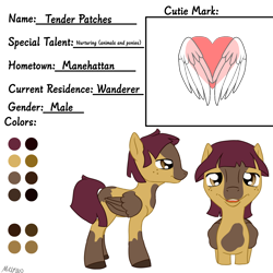 Size: 3000x3000 | Tagged: safe, artist:mikeyboo, oc, oc:tender patches, pegasus, pony, coat markings, high res, oc ref, pinto, reference sheet