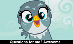Size: 1905x1136 | Tagged: safe, edit, edited screencap, screencap, gabby, griffon, comic:celestia's servant interview, g4, the fault in our cutie marks, caption, cs captions, cute, female, gabbybetes, interview, looking at you, solo
