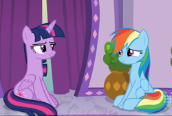 Size: 1030x692 | Tagged: safe, screencap, rainbow dash, twilight sparkle, alicorn, pony, deep tissue memories, g4, my little pony: friendship is forever, cropped, duo, female, looking at each other, sitting, smiling, stare, twilight sparkle (alicorn)