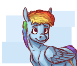 Size: 3500x3000 | Tagged: safe, artist:fynjy-87, rainbow dash, pegasus, pony, g4, abstract background, cutie mark, female, high res, smiling, solo, wings