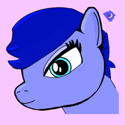 Size: 400x400 | Tagged: safe, artist:midnight_mare, oc, oc:midnight mare, pegasus, pony, bust, female, portrait, simple background, soft color