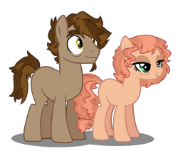 Size: 5438x4632 | Tagged: safe, artist:spectrumnightyt, oc, oc only, oc:apricot candy, oc:chocolate banana, pony, absurd resolution, female, male, mare, simple background, stallion, transparent background