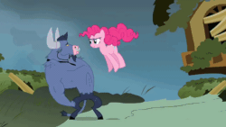 Size: 1280x720 | Tagged: safe, screencap, iron will, pinkie pie, earth pony, minotaur, pony, g4, putting your hoof down, season 2, absurd file size, absurd gif size, animated, confused, defying gravity, female, fluttershy's cottage, gif, grabbing, headset, in which pinkie pie forgets how to gravity, male, mare, pinkie being pinkie, pinkie physics, pointing, pulling, walking