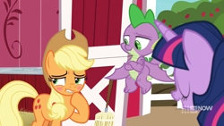 Size: 1920x1080 | Tagged: safe, screencap, applejack, spike, twilight sparkle, alicorn, dragon, earth pony, pony, g4, harvesting memories, my little pony: friendship is forever, blushing, female, male, sweet apple acres, twilight sparkle (alicorn), winged spike, wings