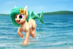 Size: 3000x2000 | Tagged: safe, artist:luminousdazzle, oc, oc only, oc:tropical reef, pony, shark, shark pony, cute, cute little fangs, fangs, female, flower, flower in hair, high res, mare, markings, ocean, open mouth, paint tool sai, pale belly, running, seashore, semi-realistic, solo