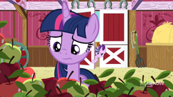 Size: 1280x720 | Tagged: safe, screencap, starlight glimmer, twilight sparkle, alicorn, pony, g4, harvesting memories, spoiler:harvesting memories, spoiler:mlp friendship is forever, female, mare, sweet apple acres, twilight sparkle (alicorn)