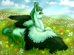 Size: 1920x1423 | Tagged: safe, artist:blackheartthedragon, oc, oc only, oc:kiwi, pegasus, pony, prone, solo, two toned wings, wings