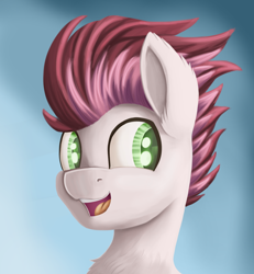 Size: 2000x2160 | Tagged: safe, artist:sigilponies, oc, oc only, oc:swift apex, pony, bust, high res, portrait, simple background, smiling, solo