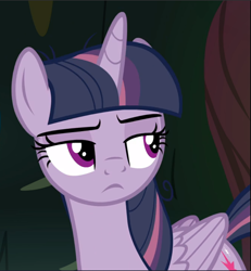 Size: 869x941 | Tagged: safe, screencap, mean twilight sparkle, pony, g4, the mean 6, cropped, female, lidded eyes, solo, unimpressed