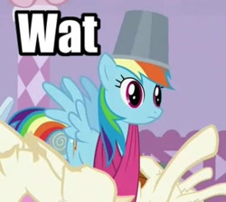 Size: 600x536 | Tagged: safe, edit, edited screencap, screencap, rainbow dash, pegasus, pony, g4, season 1, suited for success, artifact, blanket, brony history, bucket, bucketdash, caption, confused, cropped, dress form, female, hat, headbucket, image macro, implied crash, mare, meme, reaction image, solo, spread wings, surprised, text, wat, wat (reaction image)