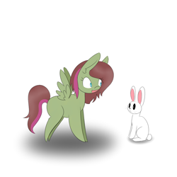 Size: 1000x1000 | Tagged: safe, artist:kaggy009, angel bunny, oc, pegasus, pony, ask peppermint pattie, g4, female, filly