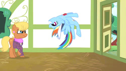 Size: 1000x562 | Tagged: safe, screencap, ms. harshwhinny, rainbow dash, earth pony, pegasus, pony, flight to the finish, g4, coach rainbow dash, cute, dashabetes, flip, grin, hat, ms. harshwhinny is not amused, smiling, upside down