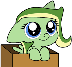 Size: 550x512 | Tagged: safe, artist:didgereethebrony, artist:lilylupony, oc, oc only, oc:boomerang beauty, pegasus, pony, base used, blue eyes, box, cute, female, filly, floppy ears, hooves on the top of the box, in a box, ocbetes, pony in a box, simple background, solo, trace, transparent background